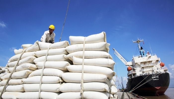 Thông tin chung về thị trường xuất khẩu gạo tại Việt Nam