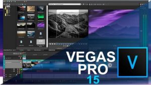 Sony Vegas Pro.