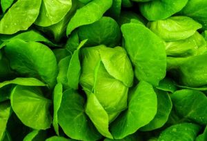 Đảm bảo nguồn nguyên liệu tươi sạch thì cháo dinh dưỡng mới tươi ngon!