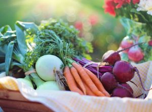 Chỉ có bí kíp nấu món cháo dinh dưỡng ngon - bổ mới là thứ giữ chân khách hàng của bạn.