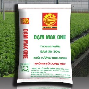 Thông tin doanh nghiệp và logo rõ ràng