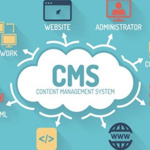 CMS là gì?