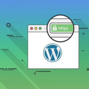 Sử dụng giao diện quản lý WordPress