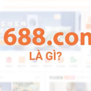 Giới thiệu 1688 là gì?