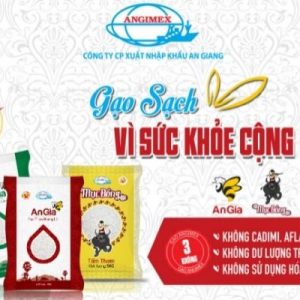 Công ty cổ phần xuất nhập khẩu An Giang - Angimex