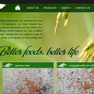 Sunrise Food - Công ty xuất khẩu gạo