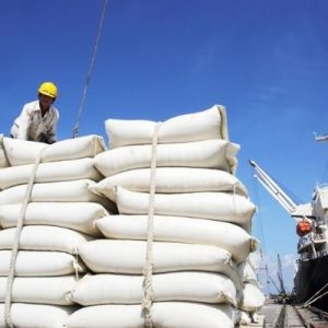 Thông tin chung về thị trường xuất khẩu gạo tại Việt Nam