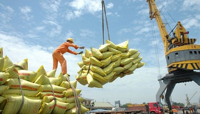 Top 10 đơn vị xuất khẩu gạo lớn nhất Việt Nam